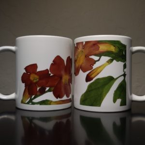 Pair of Floral Mugs