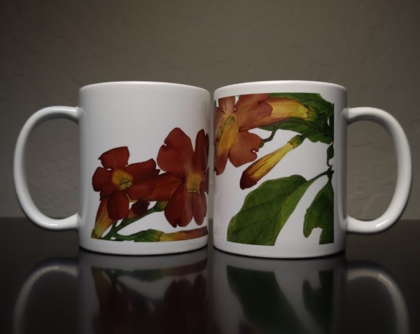 Pair of Floral Mugs