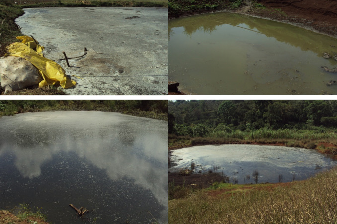 Coffee=Water Pollution?