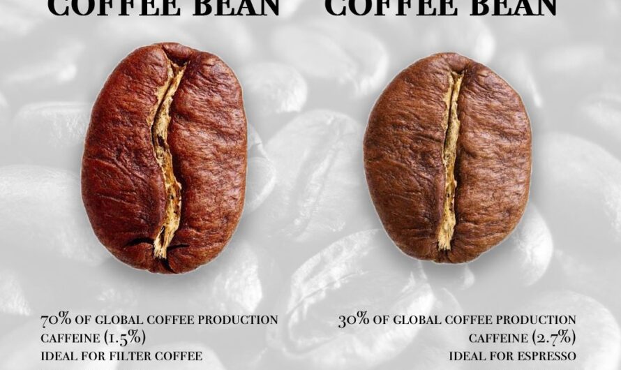 Robusta